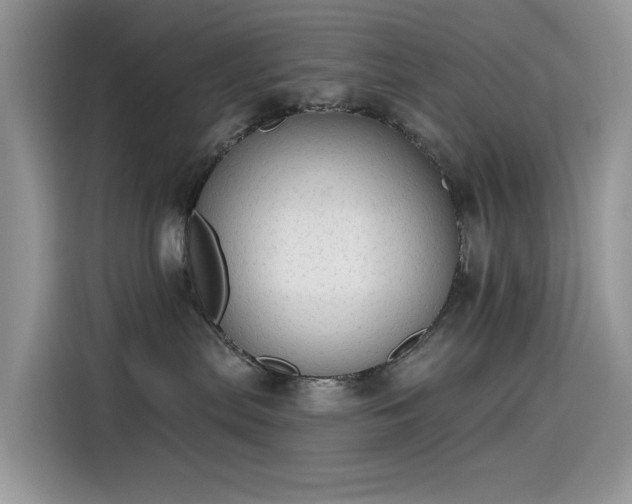 X0000115630287200911171342