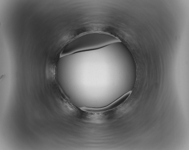 X0000115630288200911171342