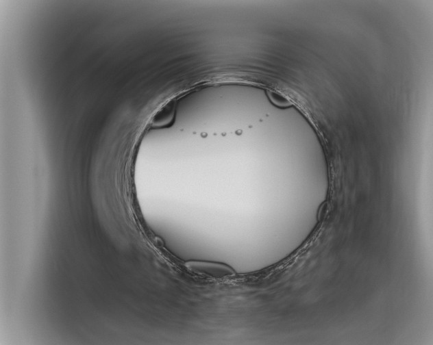 X0000115630289200911171341