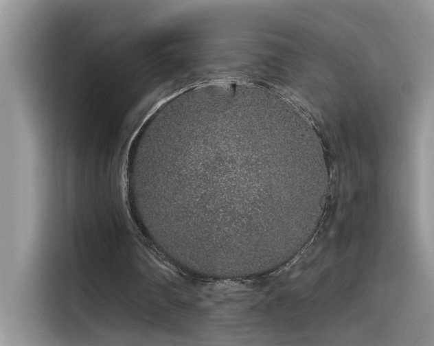 X0000115630290200911171341