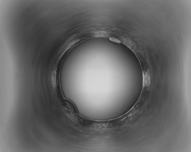 X0000115630291200911171341