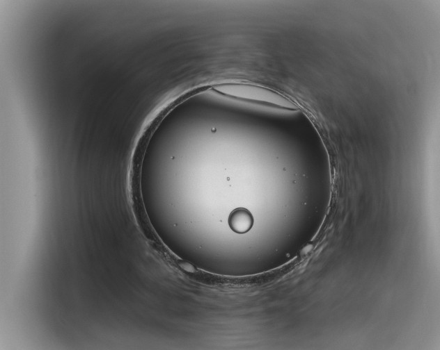 X0000115630292200911171341