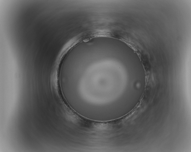 X0000115630293200911171341