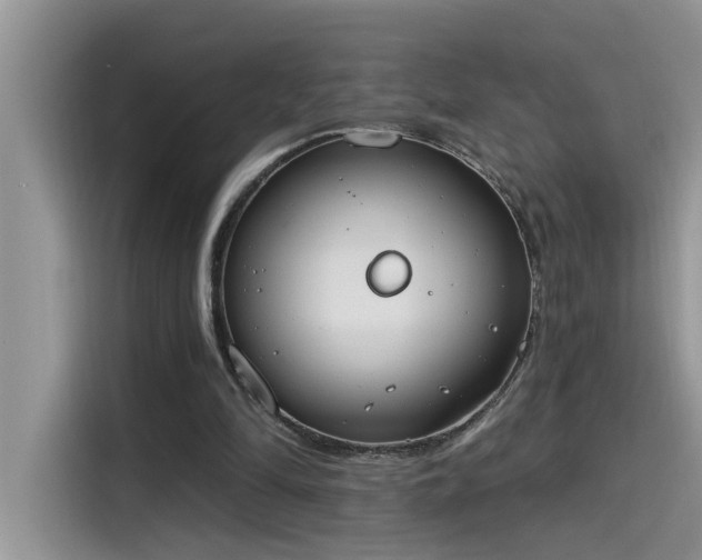 X0000115630294200911171341