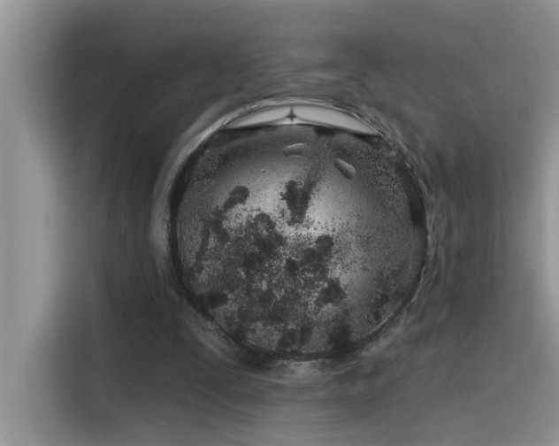 X0000115630295200911171341