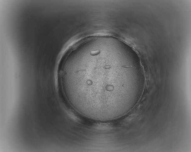 X0000115630296200911171341