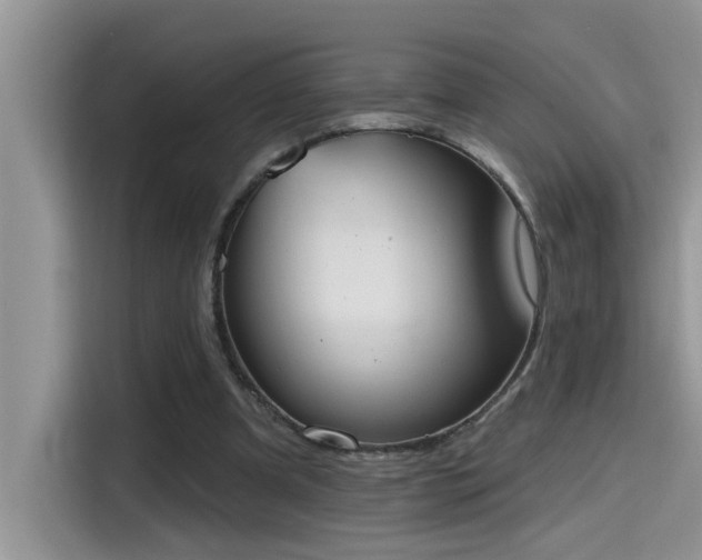 X0000115630297200911171341