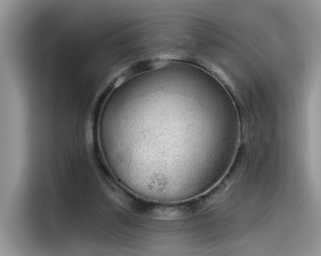 X0000115630299200911171341