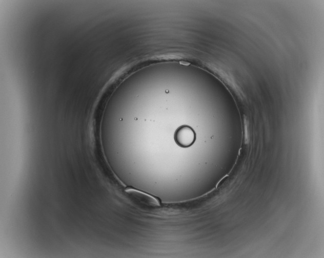 X0000115630300200911171341