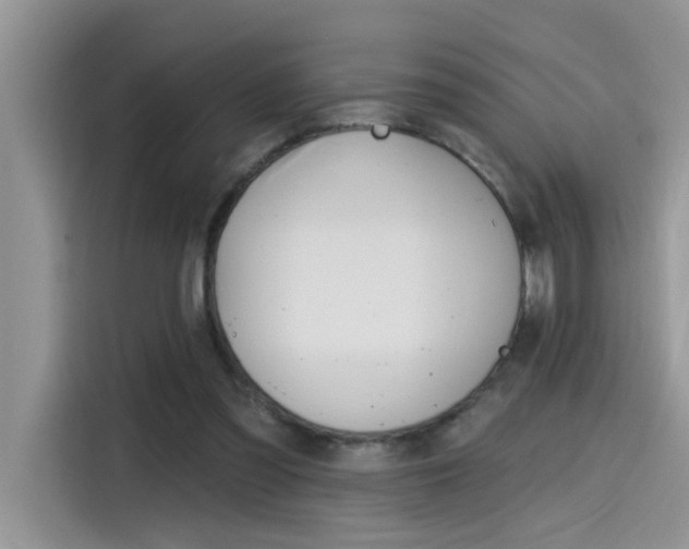 X0000115630301200911171341