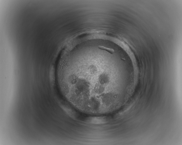 X0000115630303200911171341