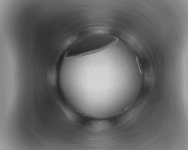 X0000115630304200911171341