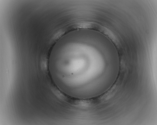 X0000115630305200911171341