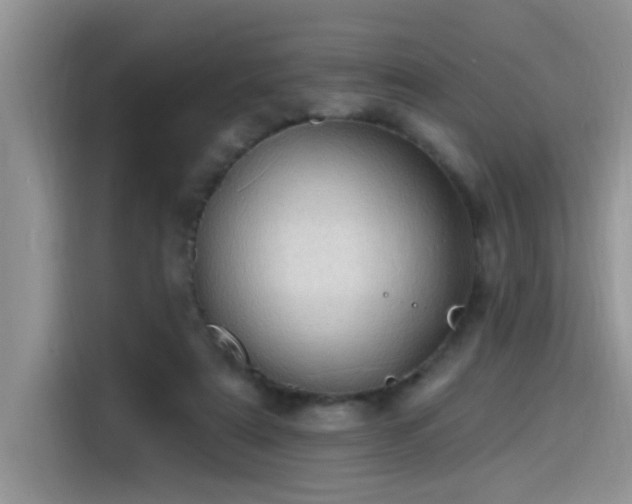 X0000115630307200911171341