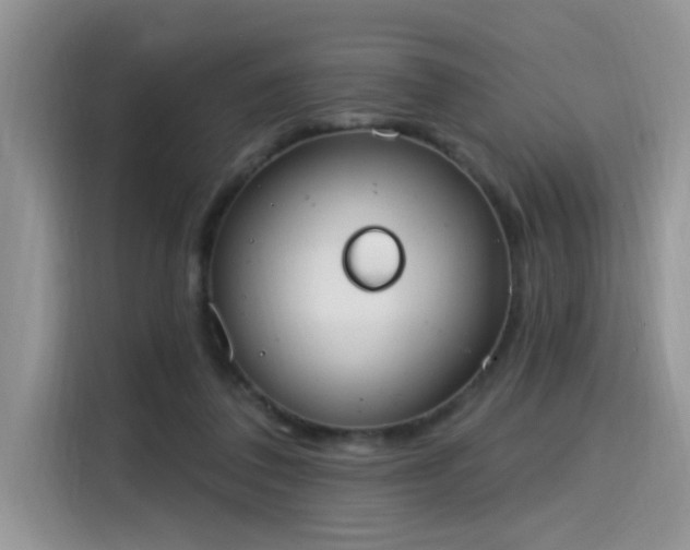 X0000115630308200911171341