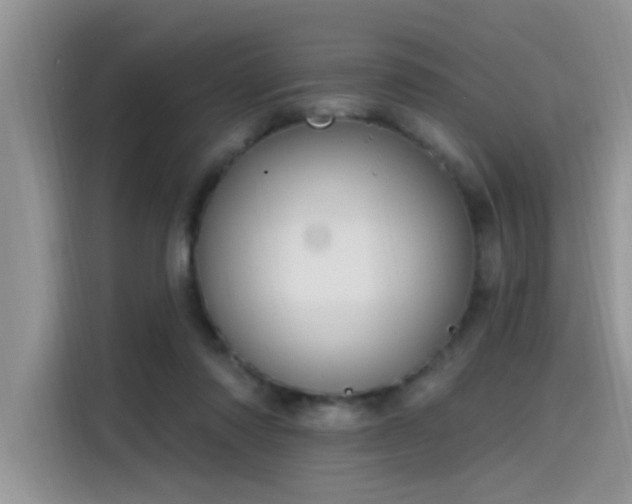 X0000115630310200911171341