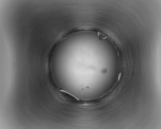 X0000115630312200911171341