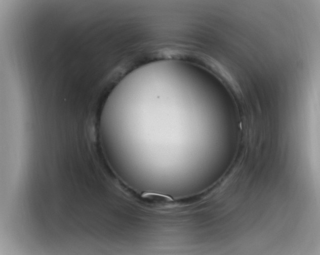 X0000115630313200911171341