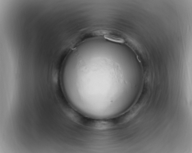 X0000115630315200911171341