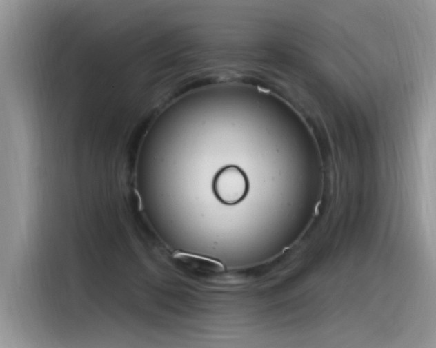 X0000115630316200911171341