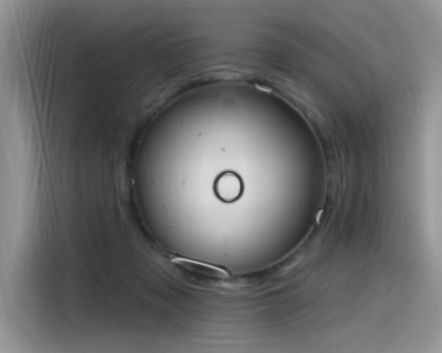 X0000115630317200911171341