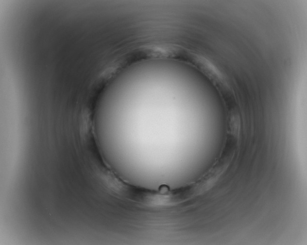 X0000115630318200911171341