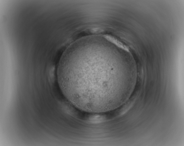 X0000115630319200911171341