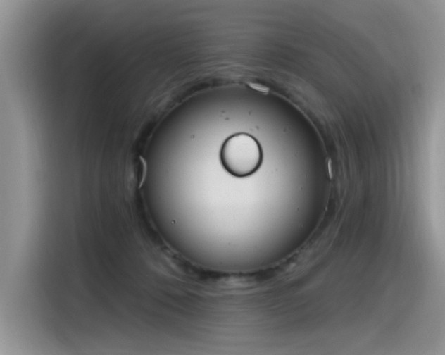 X0000115630320200911171341