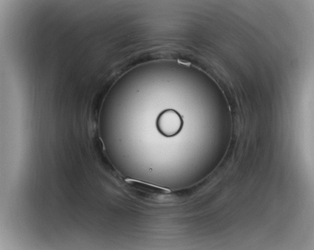 X0000115630324200911171341