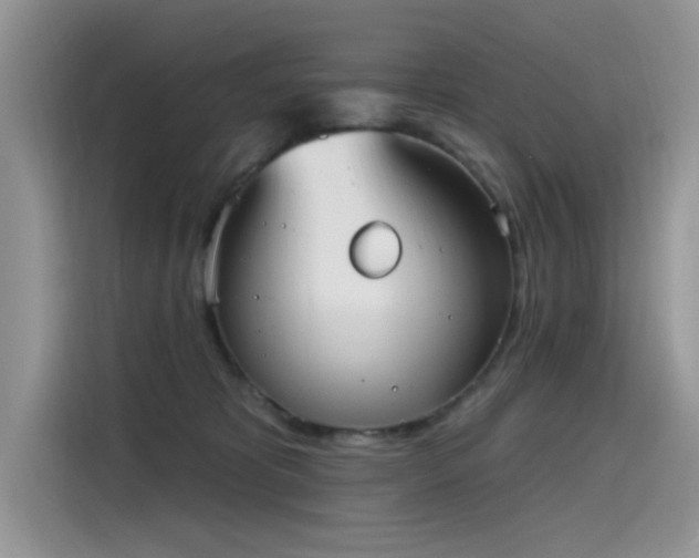 X0000115630325200911171341