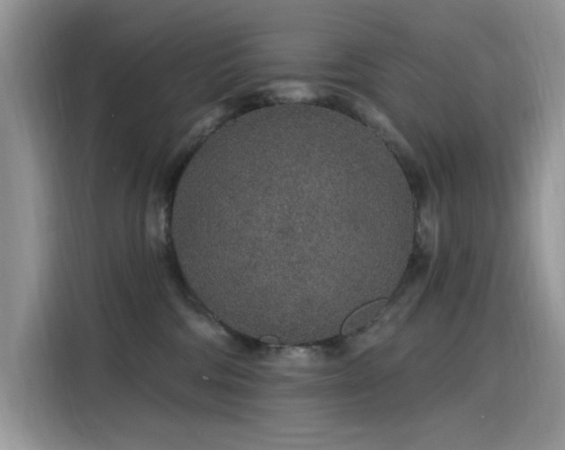 X0000115630330200911171341