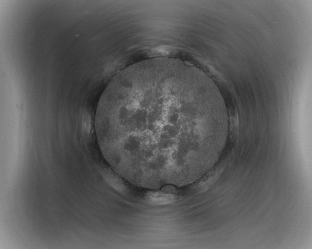 X0000115630331200911171341