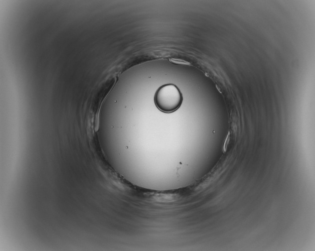 X0000115630332200911171341