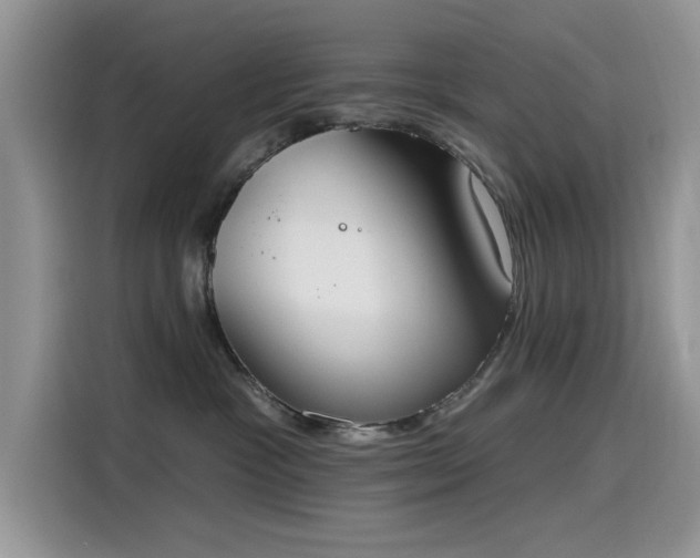 X0000115630333200911171341