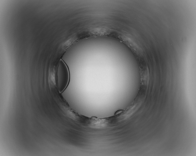 X0000115630334200911171341