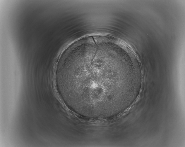 X0000115630337200911171340