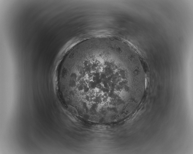 X0000115630339200911171340