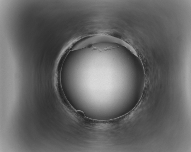 X0000115630342200911171340