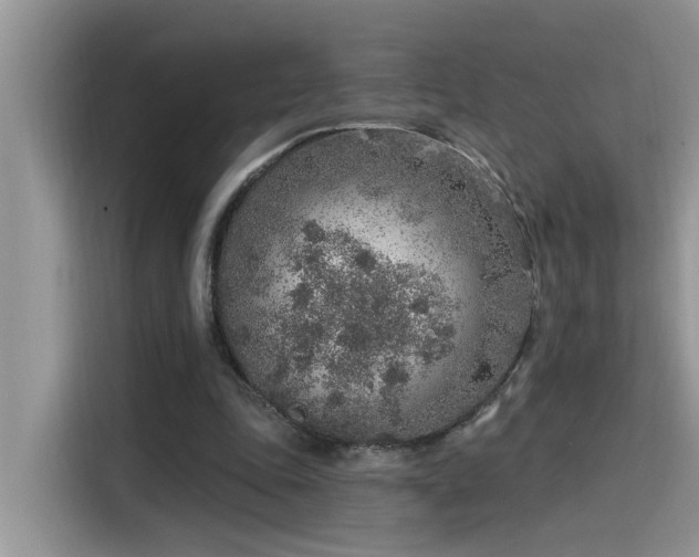 X0000115630343200911171340