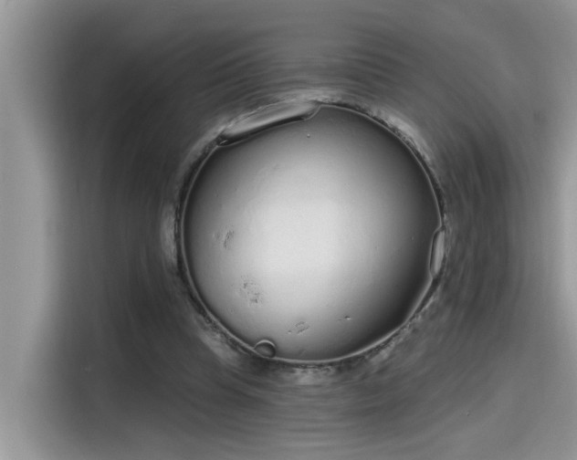 X0000115630345200911171340