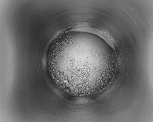 X0000115630347200911171340