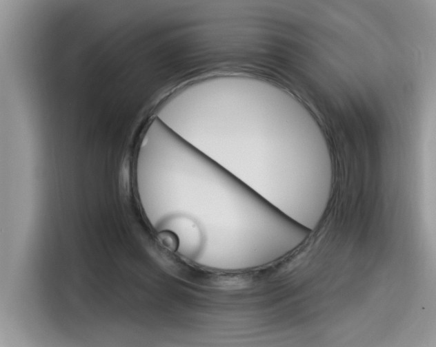 X0000115630349200911171340