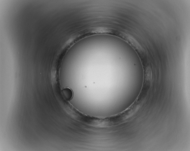 X0000115630351200911171340