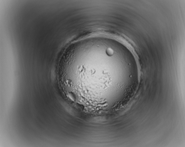 X0000115630353200911171340