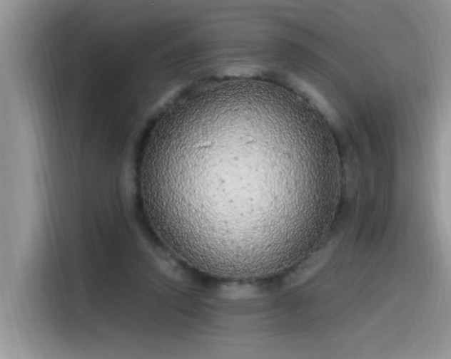 X0000115630354200911171340