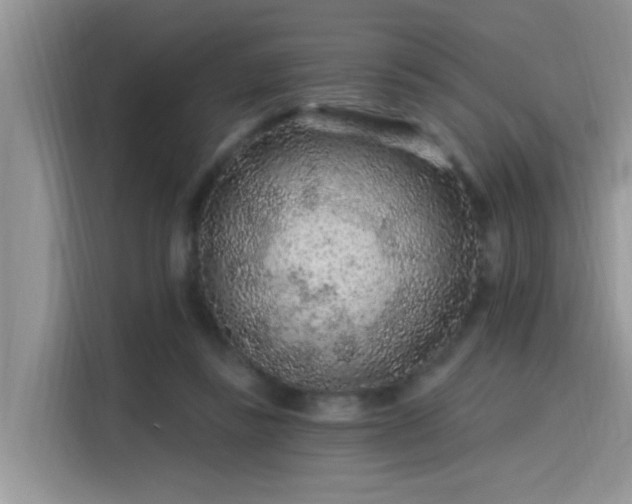 X0000115630355200911171340