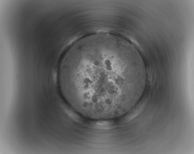 X0000115630357200911171340