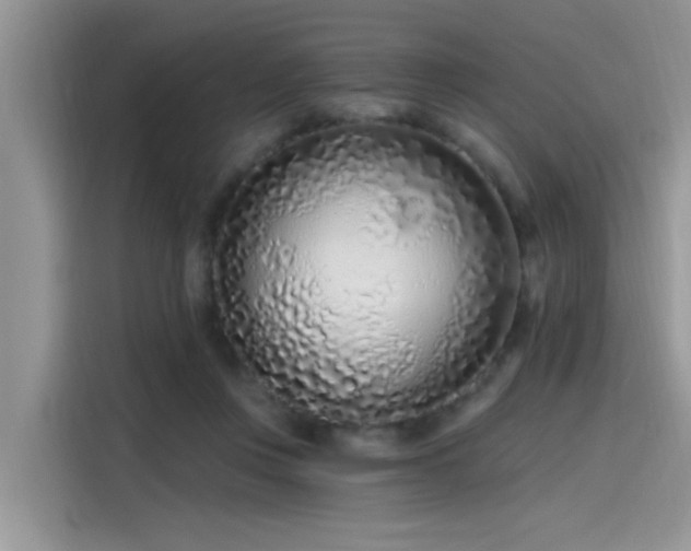 X0000115630359200911171340