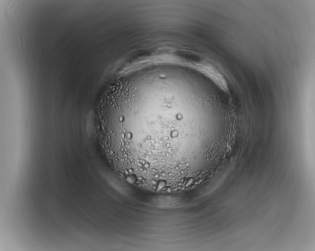 X0000115630361200911171340