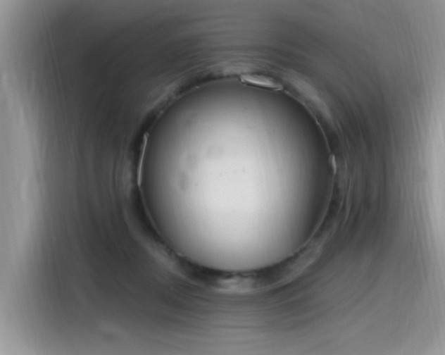 X0000115630362200911171340